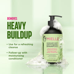 Mielle Organics Rosemary Mint Strengthening Shampoo – Biotin Infused Hair Growth Anti Shedding Cleanser 355mL